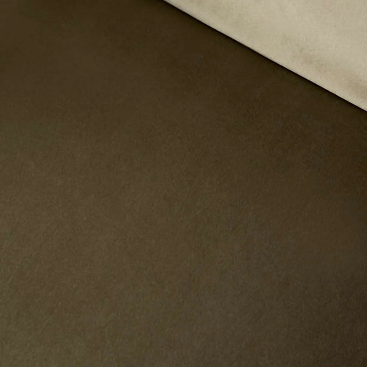 Ray Velvet Occasional Chair - Sage/Walnut - Image 5